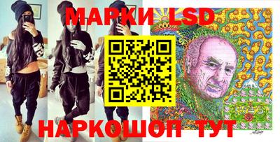мяу мяу мука Моздок